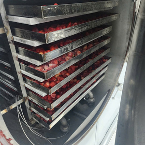 Fraises lyophilisées, ingrédient fruitier frais pour la pâtisserie, fournisseur vietnamien en emballage sous vide par 99 Gold Data - Product Image 2