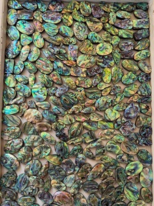 Coquille d'ormeau naturelle, cabochon arc-en-ciel, coquille multicolore polie, pierres précieuses en vrac, formes et tailles variées, vente en gros pour la fabrication de bijoux - Product Image 2