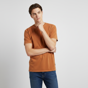 Clothing Manufacturer Plain Blank 100% Cotton <b>Tshirt</b> for Men Plus Size Basic <b>Tshirt</b> Cotton Regular Fit - Product Image 1