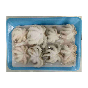 Pulpo bebé congelado premium, entero, suministrado a precio de fábrica para pedidos al por mayor - Product Image 3