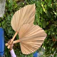Feuilles de lances de palmier décoratives de haute qualité pour le mariage à la maison de différentes tailles pour les vacances Halloween Pâques Saint-Valentin