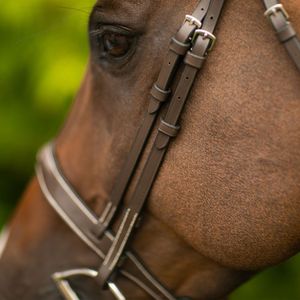 Bridon en cuir orange et noir, réglable, cousu, personnalisé, équipement d'équitation de marque avec emballage sur mesure - Product Image 4