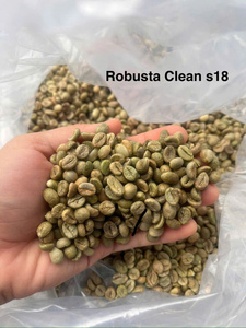 [Crop 25-26] <b>ROBUSTA</b> GREEN <b>COFFEE</b> <b>BEANS</b> Highest Quality For Roasting Wet Polish Process Packaged 60kg/PP - Product Image 3