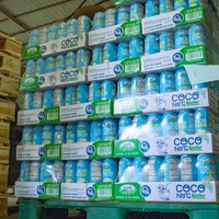Nouveau Agua de Coco-Eau de coco Boissons 500ML Can 100% Pure Sans Sucre Ajouté NAWON Beverage Factory in Vietnam Export Best Price