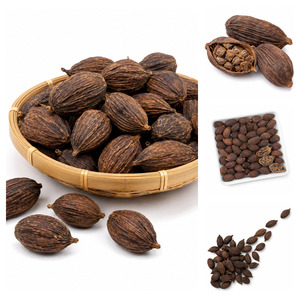 Hot Sale Special Offer Tasty International Standard Vietnam Manufacturer Supply Black Cardamom Bulk Supply - Product Image 6