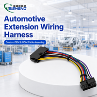 Arnés de Cableado de Extensión Multipin Personalizado, Conector de Plástico Negro con Bloqueo, Cable de Extensión Automotriz con Código de Color