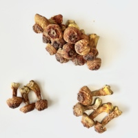 Poudre de champignons Agaricus blazei Royal Sun