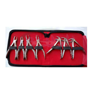 10 PCS High Quality Stainless Steel Dental Waxing Instruments Set for Wax Carving CE Certified <b>Blush</b> Surgical Brand - Product Image 3
