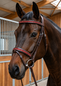 Luxuriöses braunes Leder-Pferdezaumzeug mit rotem Kristall-Stirnband für Reitsport, Dressur und Springreiten, Modell SS-RB-45 - Product Image 3