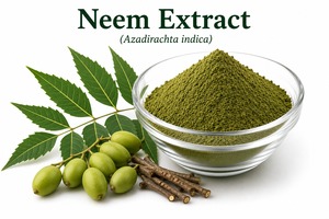 ผงสารสกัดจากต้นสะเดา (Azadirachta indica) ผงสีเขียวละเอียด สารสกัดจากต้นสะเดา (Azadirachta indica) 5% รสขม - Product Image 2