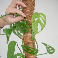 Poteau de soutien pour plantes grimpantes en fibre naturelle de coco, écologique et biodégradable, pour jardin moderne à domicile