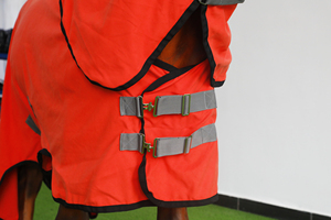Manta/alfombra de invierno personalizada para caballo BRAND ZONE Equestrian, manta impermeable para caballo 600D con relleno aislante de 300g - Product Image 5