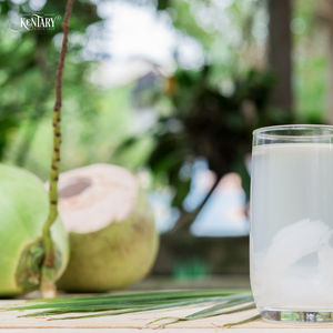 Cocos Verdes Frescos de Grado Agrícola con Cáscara Entera y Agua de Coco Dulce, Venta al por Mayor desde Vietnam - Product Image 3