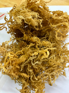 สาหร่ายทะเลสีเหลืองทองแห้งแบบไม่มีหนาม คุณภาพดี พร้อมจำหน่าย วัตถุดิบสำหรับทำเจลและเครื่องดื่ม - Product Image 1