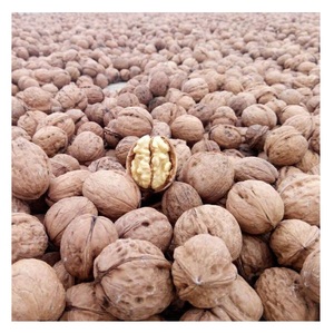 เมล็ดวอลนัทดิบคุณภาพสูง สดใหม่ เหมาะสำหรับการอบและทำอาหาร - Product Image 4