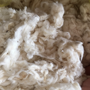 ผ้าฝ้ายลิคเกอริน 100% แบบ B/Card Fly/Flat Strip Cotton Waste Raw Pattern ป้องกันแบคทีเรีย เป็นมิตรกับสิ่งแวดล้อม ขนาด 18-21 ซม. สำหรับการปั่นด้าย - Florence - Product Image 2