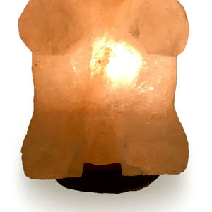 Lampe en sel de l'Himalaya sculptée à la main, en forme d'animal, écologique, avec base en bois, lumière de cristal naturel pour la décoration de la maison - Product Image 3