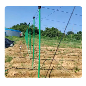 เสาแขวนต้นไม้ FRP รุ่นใหม่ สำหรับมะเฟือง ฝรั่ง และเมลอนต่างๆ - Product Image 1