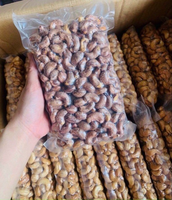 Noix de cajou vietnamiennes W180 prêtes à l'exportation, noix de cajou grillées de qualité supérieure, nourriture instantanée, meilleure qualité, angle