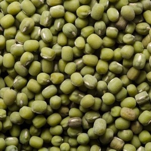 Semillas Frescas de Frijol Mung/Semillas para Germinar AA Calidad Premium Cultivo Sin GMO Origen EE. UU. - Product Image 2