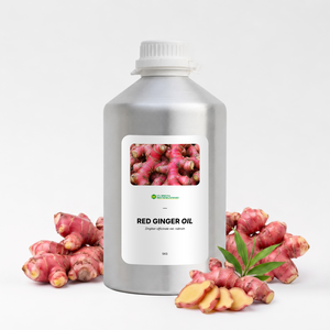 น้ำมันขิงแดงออร์แกนิก Zingiber Officinale Rubrum น้ำมันหอมระเหย จำหน่ายส่งจากอินโดนีเซีย - Product Image 1