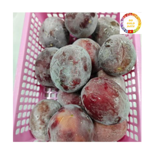 IQF Frozen Passion <b>Fruit</b> Seeds and Pulp Vietnam Export Supplier for Beverage Dessert Bakery and Food Industry - Product Image 2