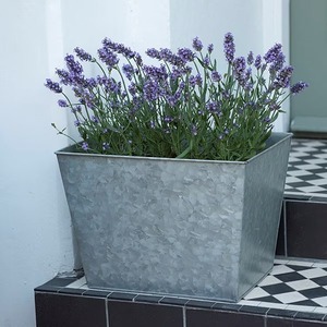Jardinière en métal empilable, pot de plante décoratif peu encombrant, pour l'intérieur et l'extérieur, pour la maison, le balcon, le salon, le bureau, décoration - Product Image 3