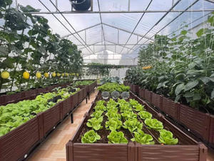 Venta al por mayor de pellets de fibra de coco premium para retención de humedad y crecimiento rápido de raíces. Envío rápido. Directo de fábrica. - Product Image 3