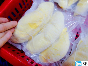 Durian Orgánico Congelado IQF a Granel, Conservado en Salmuera, Ingredientes de Fruta Tropical para Helados, Panadería y Bebidas, Vietnam - Product Image 4