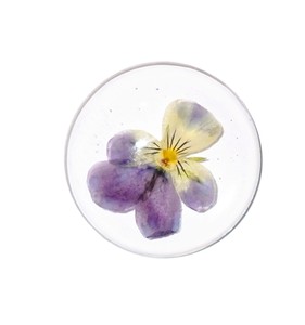 Cabujón de Plástico con Espécimen Real de Heartsease, Redondo, 38x38 mm, Base Plana Transparente, para Manualidades y Joyería - Product Image 6