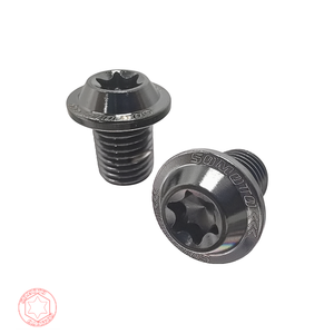 Bouchons de trou miroir en acier inoxydable SUS304 SOMOTO Taiwan |   Tête UFO M10 | 1 paire de vis à filetage droit |   Finitions brutes, TIB et BKP - Product Image 5