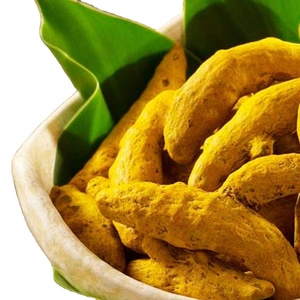 Doigts de curcuma séchés naturels de haute qualité exportation en vrac disponible depuis l'Inde - Product Image 6