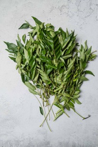 ใบแกง murraya koenigii Kadi patta หวานใบสะเดาสมุนไพรดิบแห้ง kari patte ผลิตภัณฑ์สมุนไพรขายส่ง - Product Image 3
