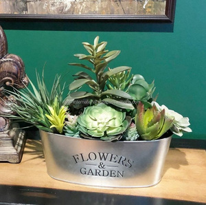 Demanda de productos mejor calificados OEM decoración de jardín maceta de flores de metal galvanizado en bandeja al por mayor - Product Image 4