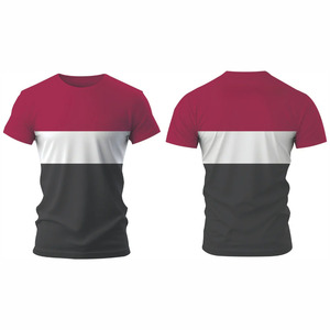 Camiseta Deportiva Ecológica para Hombre, Bordada, de Secado Rápido, Transpirable, para Entrenamiento, Fitness, Deportes, Ropa Deportiva Ligera - Product Image 3