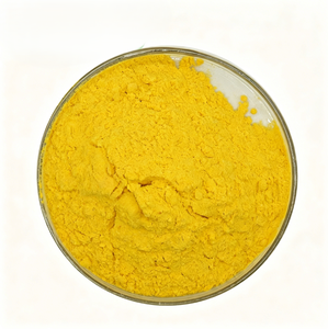 Poudre de citrouille pour applications en boulangerie et en boissons, poudre de citrouille de qualité alimentaire apportant une saveur pratique aux recettes culinaires - Product Image 4