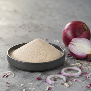 Poudre d'oignon de qualité supérieure, vente en gros, approvisionnement en vrac, prête à être expédiée, qualité alimentaire, exportation mondiale - Product Image 3