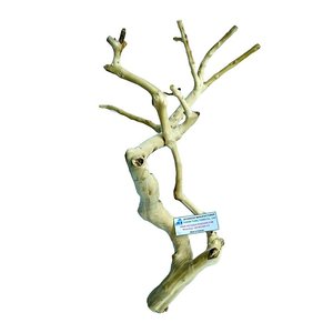 Soporte de Madera de Java para Pájaros, Tendencia 2026, Percha Grande para Jaula de Pájaros, Accesorios Sostenibles para Mascotas - Product Image 4