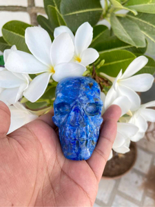 Calavera de Lapislázuli Natural Tallada a Mano |   Escultura de Calavera de Cristal con Gema Azul |   Proveedor Mayorista de Decoración Gótica - Product Image 2