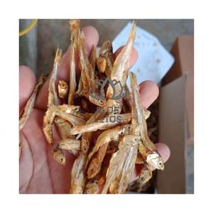 Meilleures ventes 2026 Anchois séchés pour commandes urgentes Kit d'approvisionnement de produits marins biologiques purs, frais, propres, sûrs et de qualité supérieure - Product Image 1