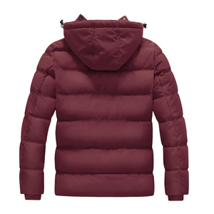 Nouvelle veste d'hiver matelassée légère et tendance pour hommes, vente en gros, meilleure qualité, pour usage extérieur - Product Image 2