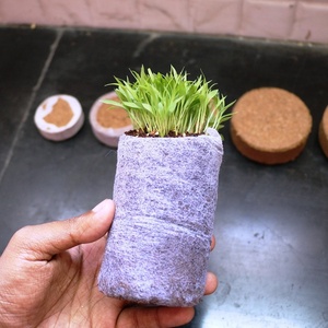 Pastilles de coco, disques de coco, substrat compact sans terre pour semis, facile à repiquer pour une croissance précoce des plantes. - Product Image 3