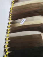 Extensions de cheveux vierges vietnamiens de haute qualité, pré-collées, lisses, en vrac, prix d'usine, longueur complète 40cm 80cm, Super Double