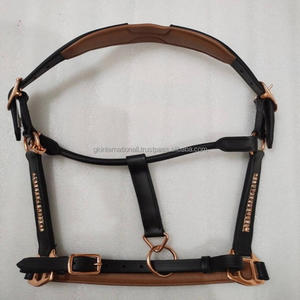 Magnifiquement en forme de cristaux sur mesure décoratif rembourré cuir cheval licou en plein épi sur la taille au prix d'usine Inde - Product Image 2