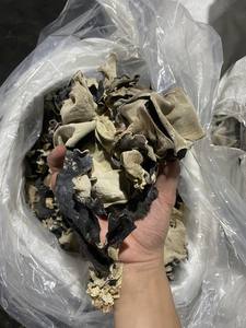 Tiras de Hongo Negro Seco al por Mayor, Champiñones Desmenuzados para Suministro Industrial de Alimentos - Product Image 6