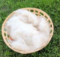 100% algodón Gon natural de material de patrón crudo de fruta de algodón para hacer osos de peluche