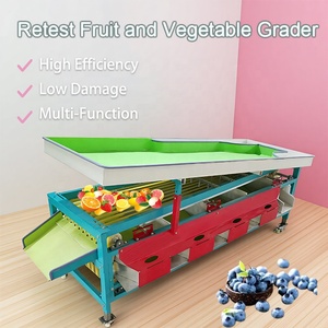 Clasificador de Tomates <span class=keywords><strong>Cherry</strong></span> y Arándanos por Tamaño - Máquina Clasificadora de Frutas Tipo Cinta Transportadora - Product Image 2