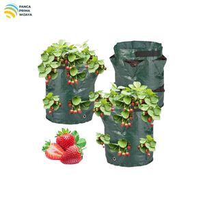 High Quality 8 Pocket <b>Strawberry</b> Planter Bag 36x46cm HDPE Woven Fabric Vertical Garden Growing <b>Pot</b> Green - Product Image 3
