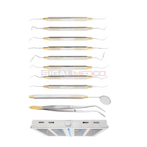 Kit d'instruments pour hygiénistes dentaires, 10 pièces, manuel, acier inoxydable allemand, cassette de stérilisation, chirurgie générale professionnelle - Product Image 4