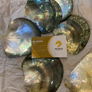 จานเปลือกหอยมุกดำขัดเงาธรรมชาติ ทำความสะอาดแล้ว จานเปลือกหอยตกแต่ง โรงงานขายส่งเวียดนาม ราคาถูกจำนวนมาก - Product Image 1